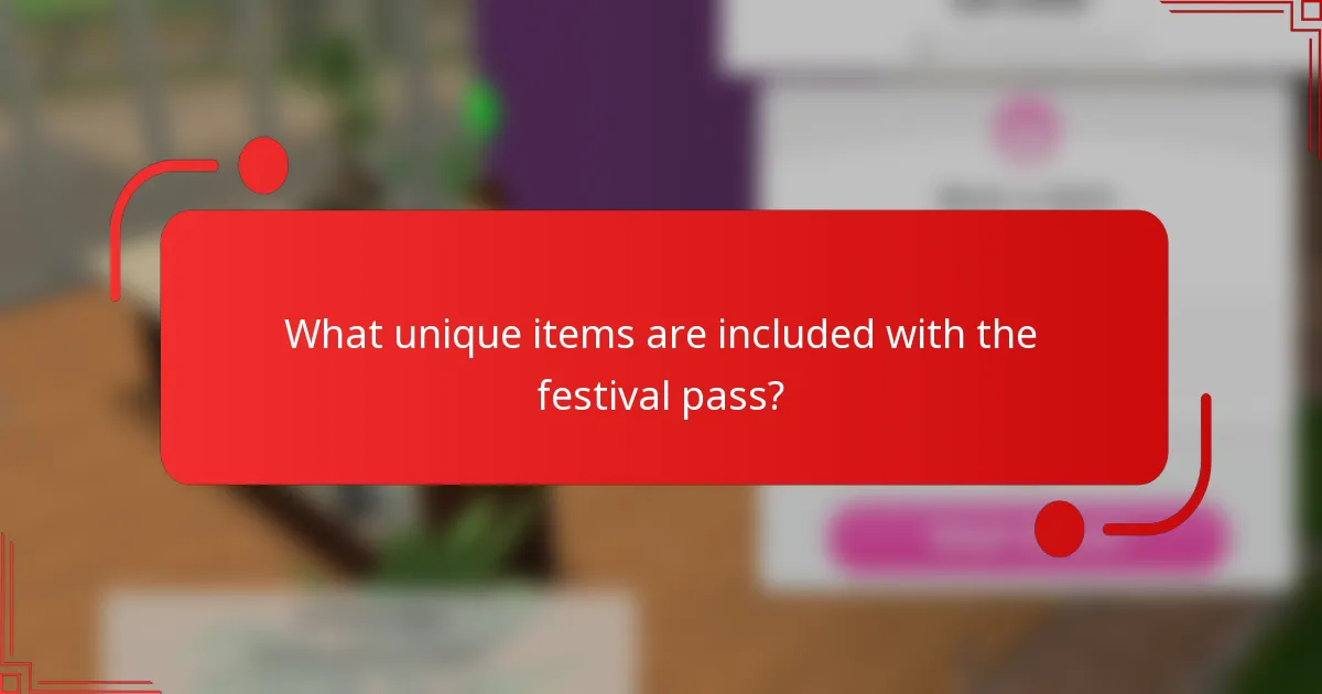 What unique items are included with the festival pass?